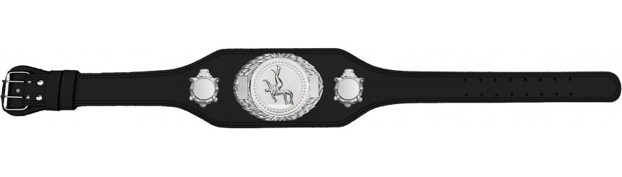 WRESTLING CHAMPIONSHIP BELT-BUD295/S/WRESTS-4 COLOURS